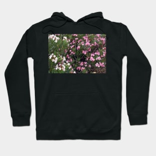 Pink and White Flower Bush Hoodie